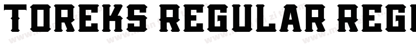 Toreks Regular Regul字体转换